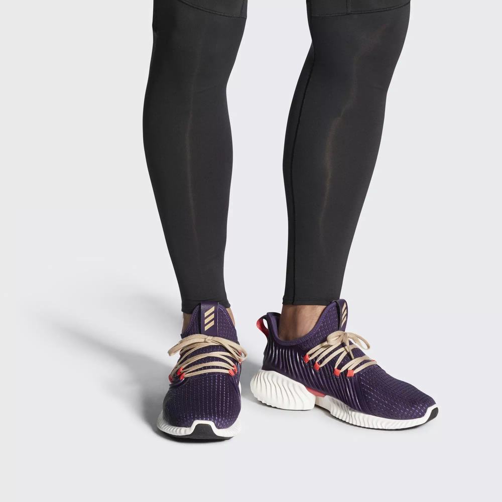 Adidas Alphabounce Instinct Clima Tenis Para Correr Morados Para Hombre (MX-78813)